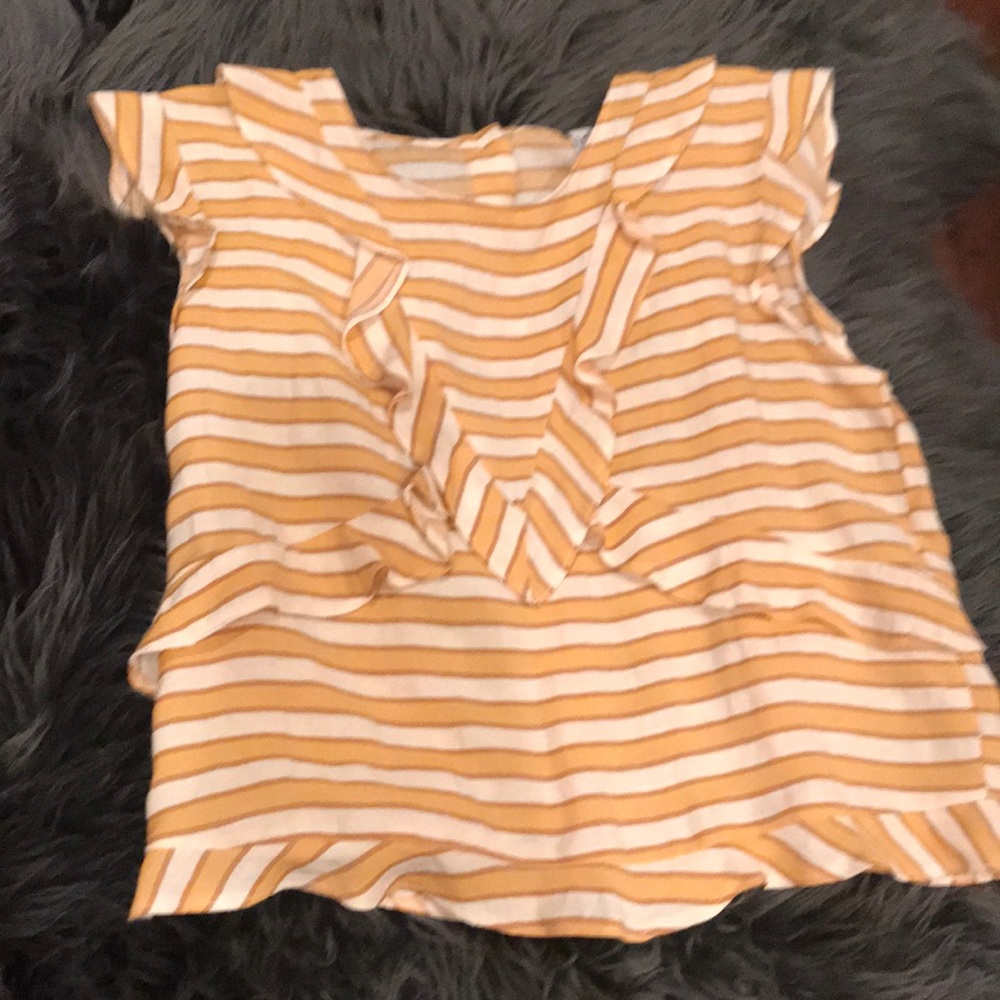 Zara crop top